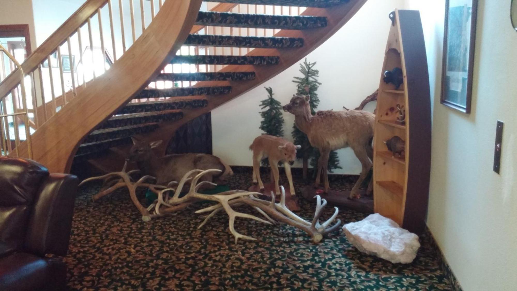 Greenwood Village Inn & Suites Kalispell Eksteriør bilde
